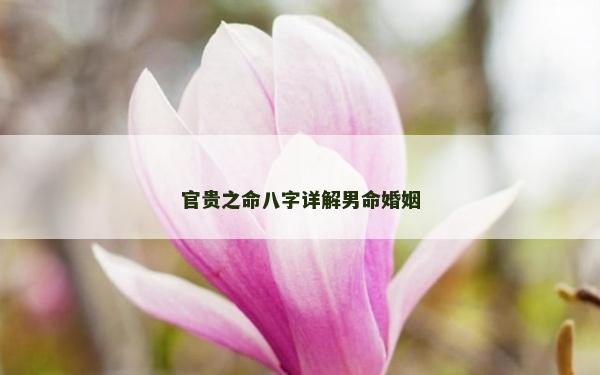官貴之命八字詳解男命婚姻