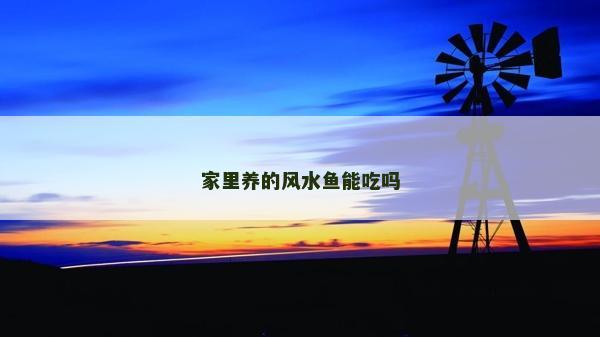 家里養的風水魚能吃嗎
