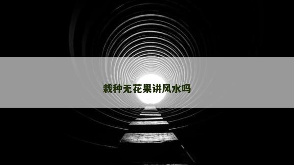 栽種無花果講風水嗎