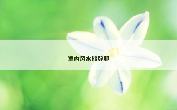 室內風水能辟邪