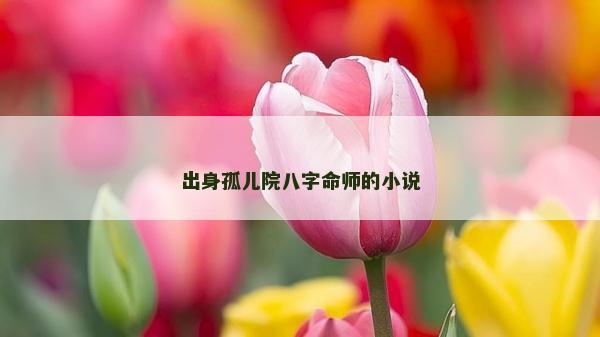 出身孤兒院八字命師的小說