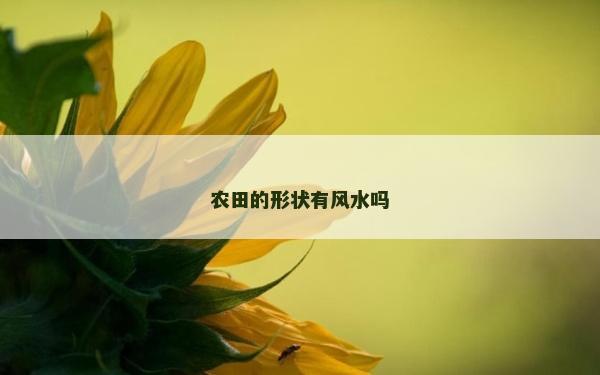 農田的形狀有風水嗎
