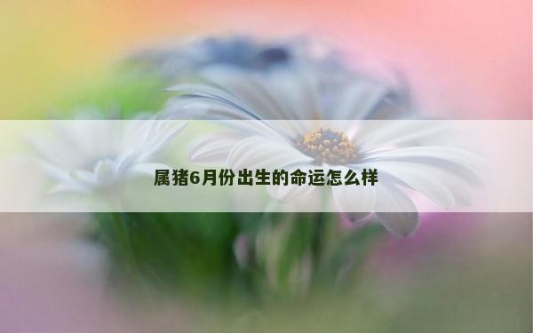 屬豬6月份出生的命運怎么樣
