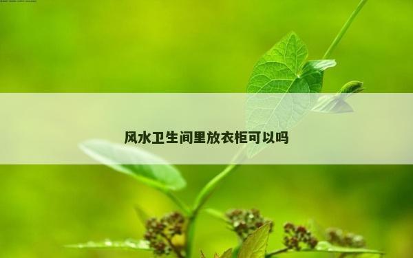 風水衛生間里放衣柜可以嗎
