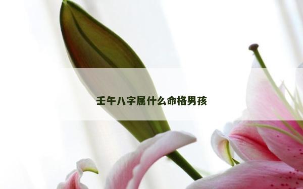 壬午八字屬什么命格男孩