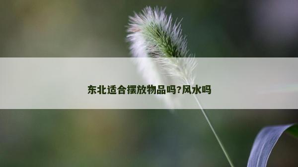 東北適合擺放物品嗎?風水嗎