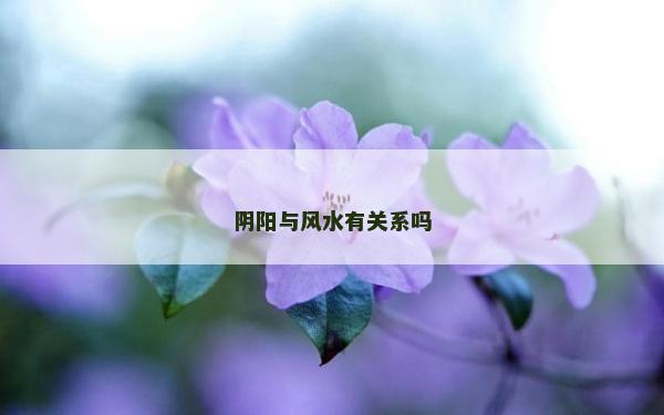 陰陽與風水有關系嗎