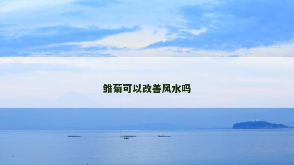 雛菊可以改善風水嗎
