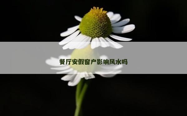 餐廳安假窗戶影響風水嗎