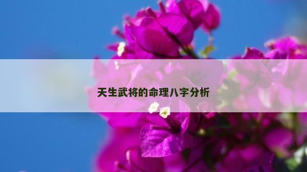 天生武將的命理八字分析