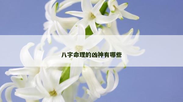 八字命理的兇神有哪些