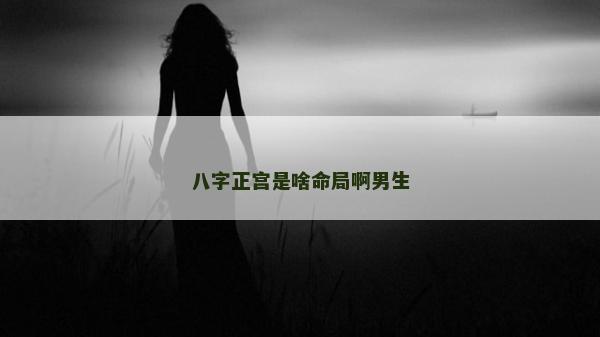 八字正宮是啥命局啊男生