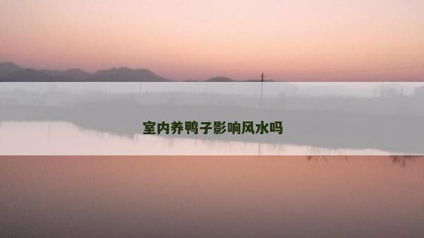 室內養鴨子影響風水嗎