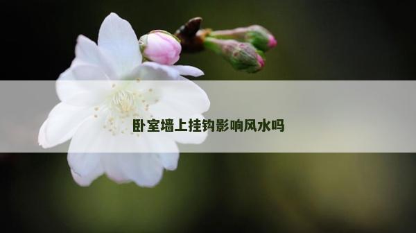 臥室墻上掛鉤影響風(fēng)水嗎