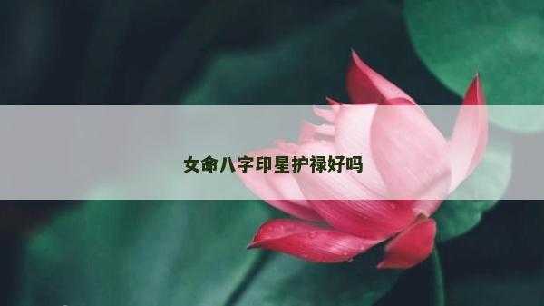 女命八字印星護祿好嗎