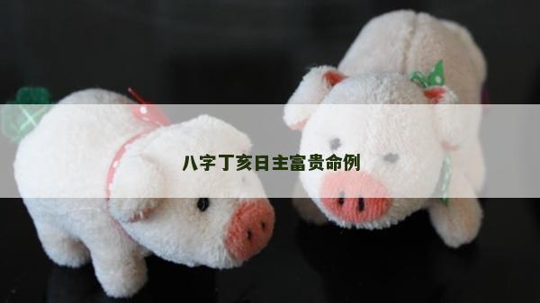 八字丁亥日主富貴命例