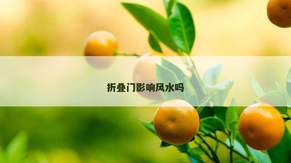 折疊門影響風(fēng)水嗎