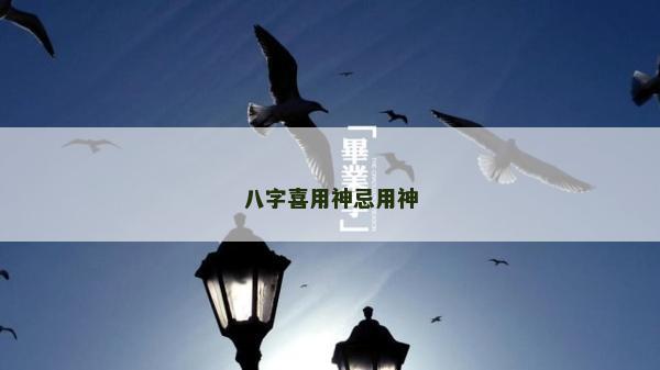八字喜用神忌用神