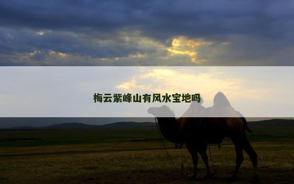 梅云紫峰山有風(fēng)水寶地嗎