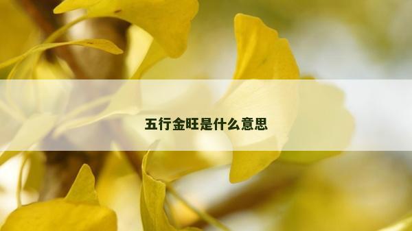 五行金旺是什么意思