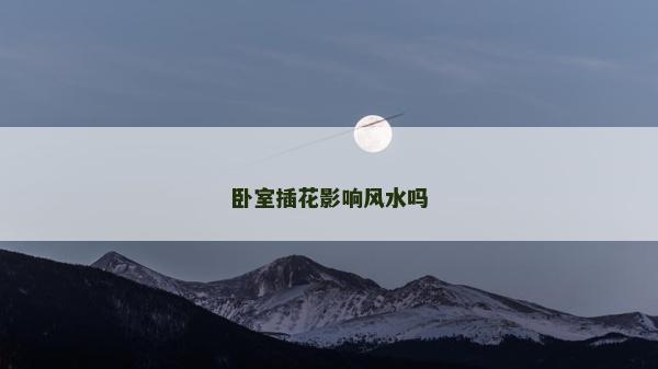 臥室插花影響風水嗎