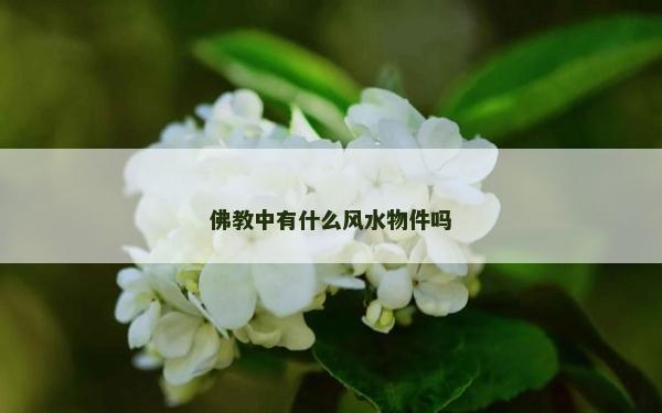 佛教中有什么風水物件嗎