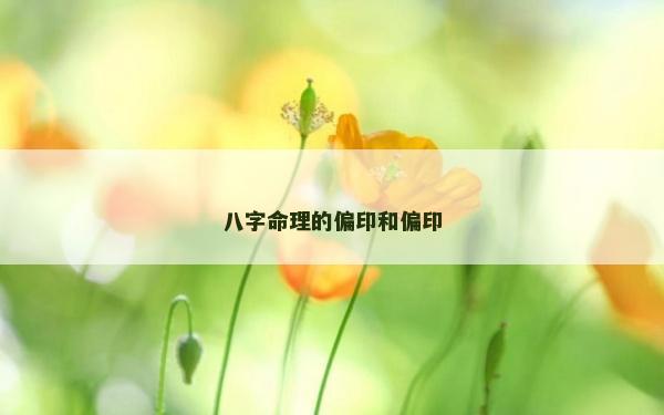 八字命理的偏印和偏印