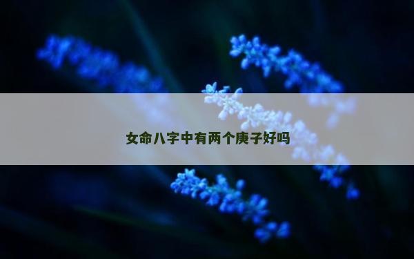 女命八字中有兩個庚子好嗎