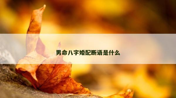 男命八字婚配斷語(yǔ)是什么