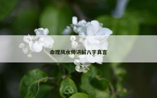命理風(fēng)水師講解八字真言