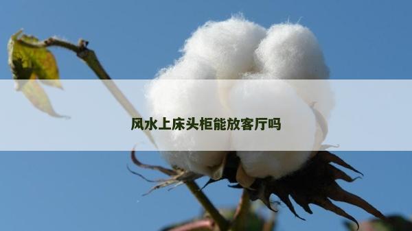 風水上床頭柜能放客廳嗎