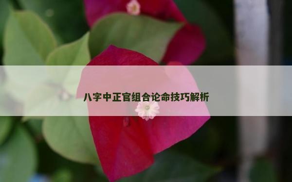 八字中正官組合論命技巧解析