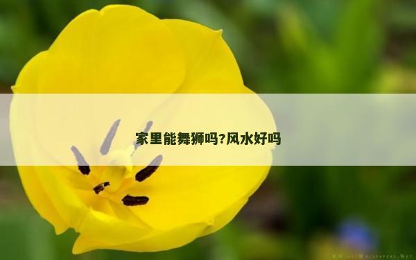 家里能舞獅嗎?風水好嗎