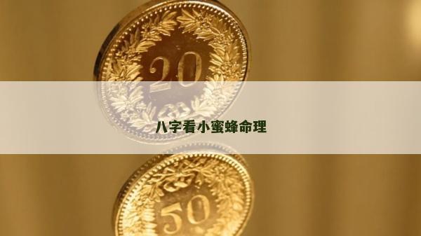 八字看小蜜蜂命理 八字看小蜜蜂命理