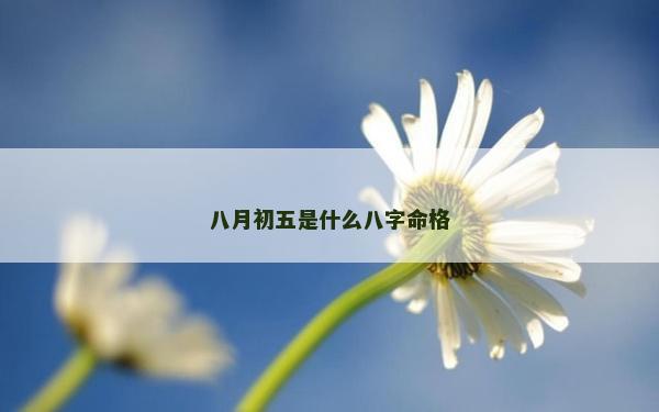 八月初五是什么八字命格