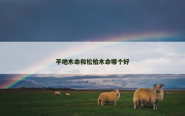 平地木命和松柏木命哪個好