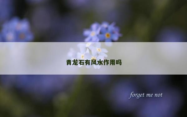 青龍石有風(fēng)水作用嗎