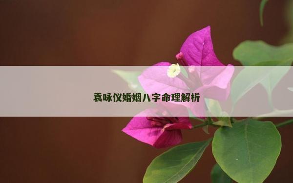 袁詠儀婚姻八字命理解析
