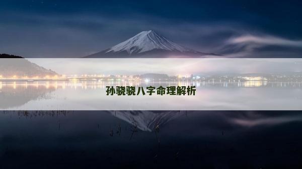 孫驍驍八字命理解析