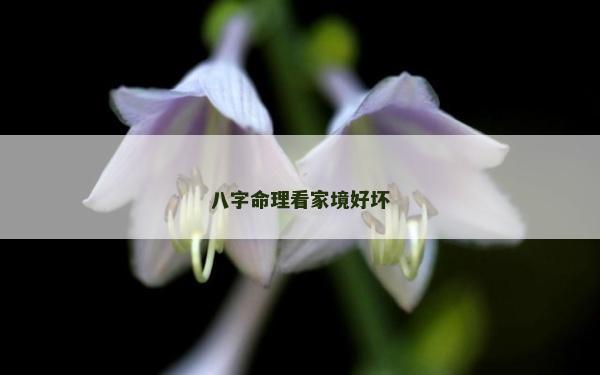 八字命理看家境好壞