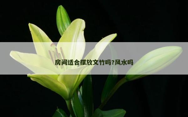 房間適合擺放文竹嗎?風(fēng)水嗎