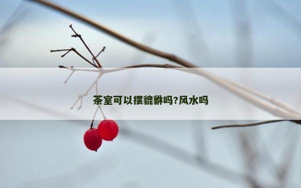 茶室可以擺貔貅嗎?風(fēng)水嗎 茶室可以擺貔貅嗎?風(fēng)水嗎