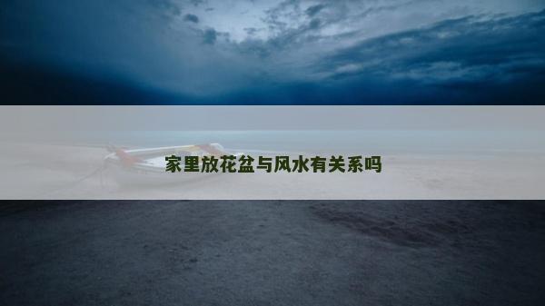家里放花盆與風水有關系嗎 家里放花盆與風水有關系嗎