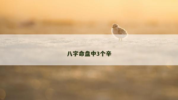 八字命盤中3個辛