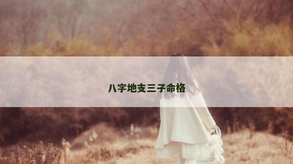 八字地支三子命格