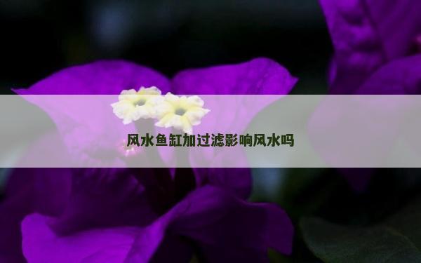 風水魚缸加過濾影響風水嗎