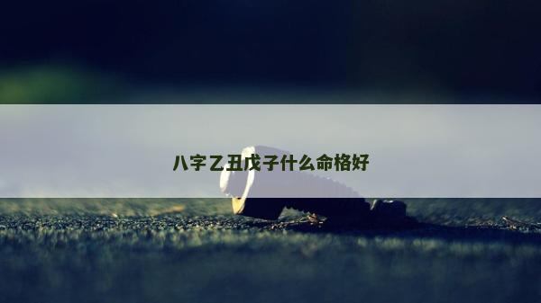 八字乙丑戊子什么命格好 八字乙丑戊子什么命格好