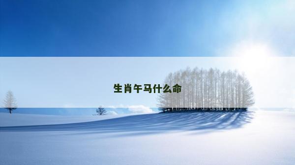 生肖午馬什么命