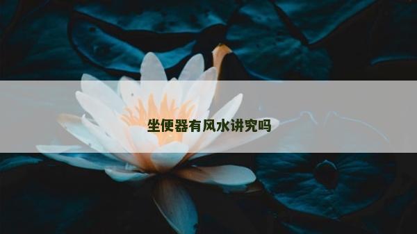 坐便器有風水講究嗎