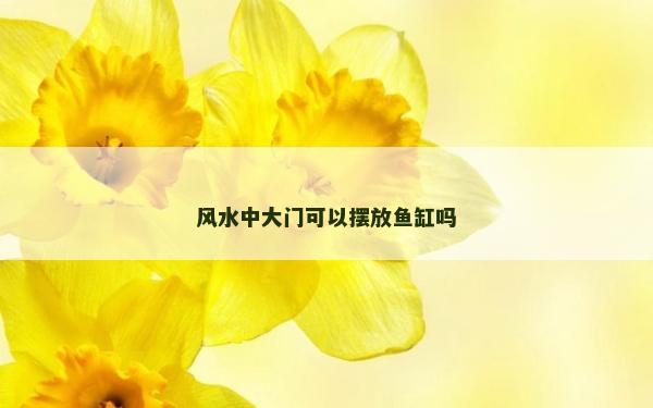 風水中大門可以擺放魚缸嗎
